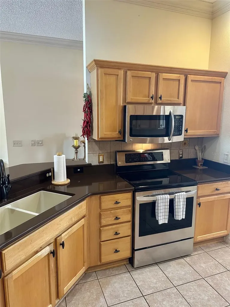 1259 Addison Avenue The Villages FL 32162