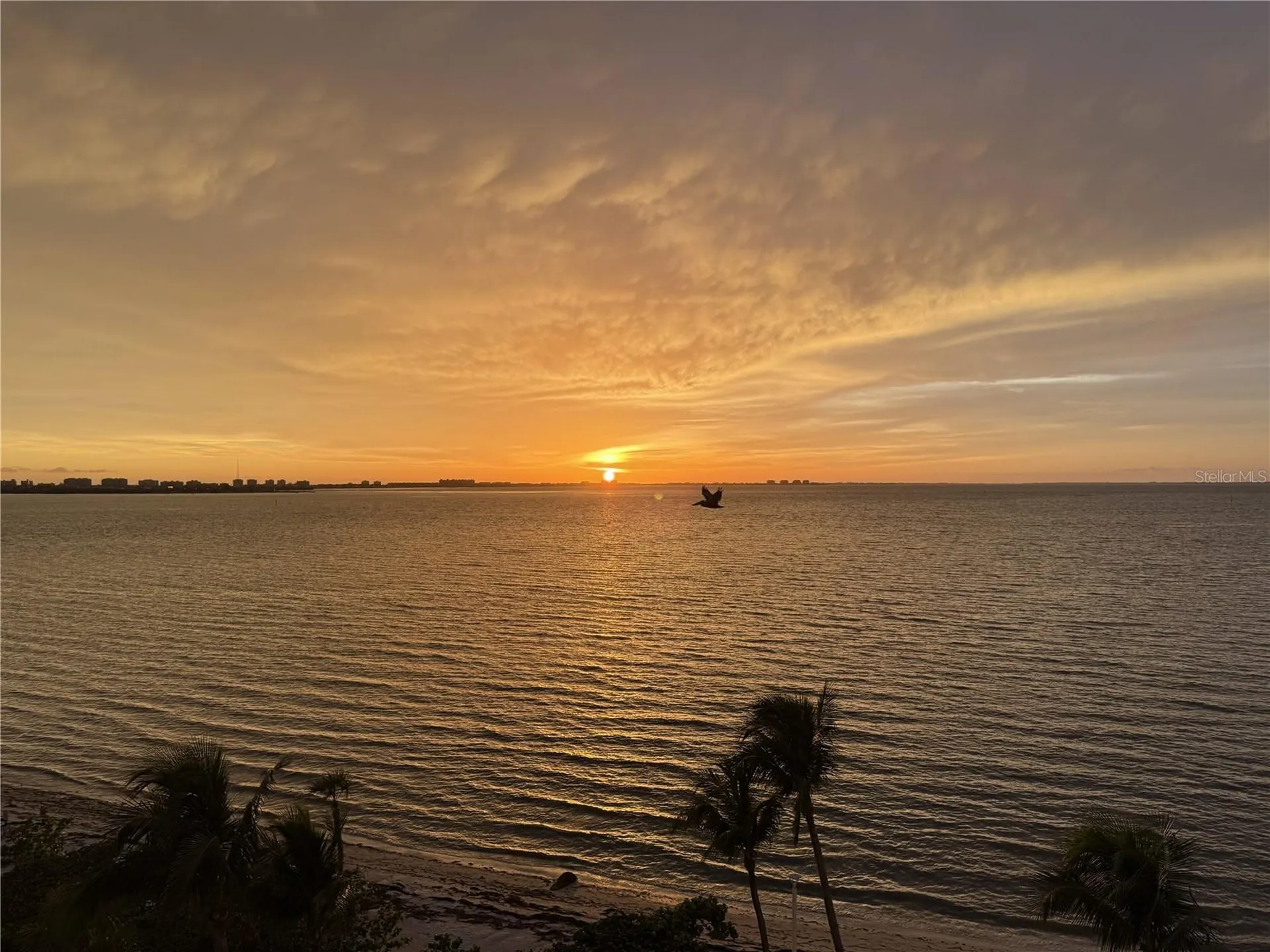 11 Sunset Drive Sarasota FL 34236