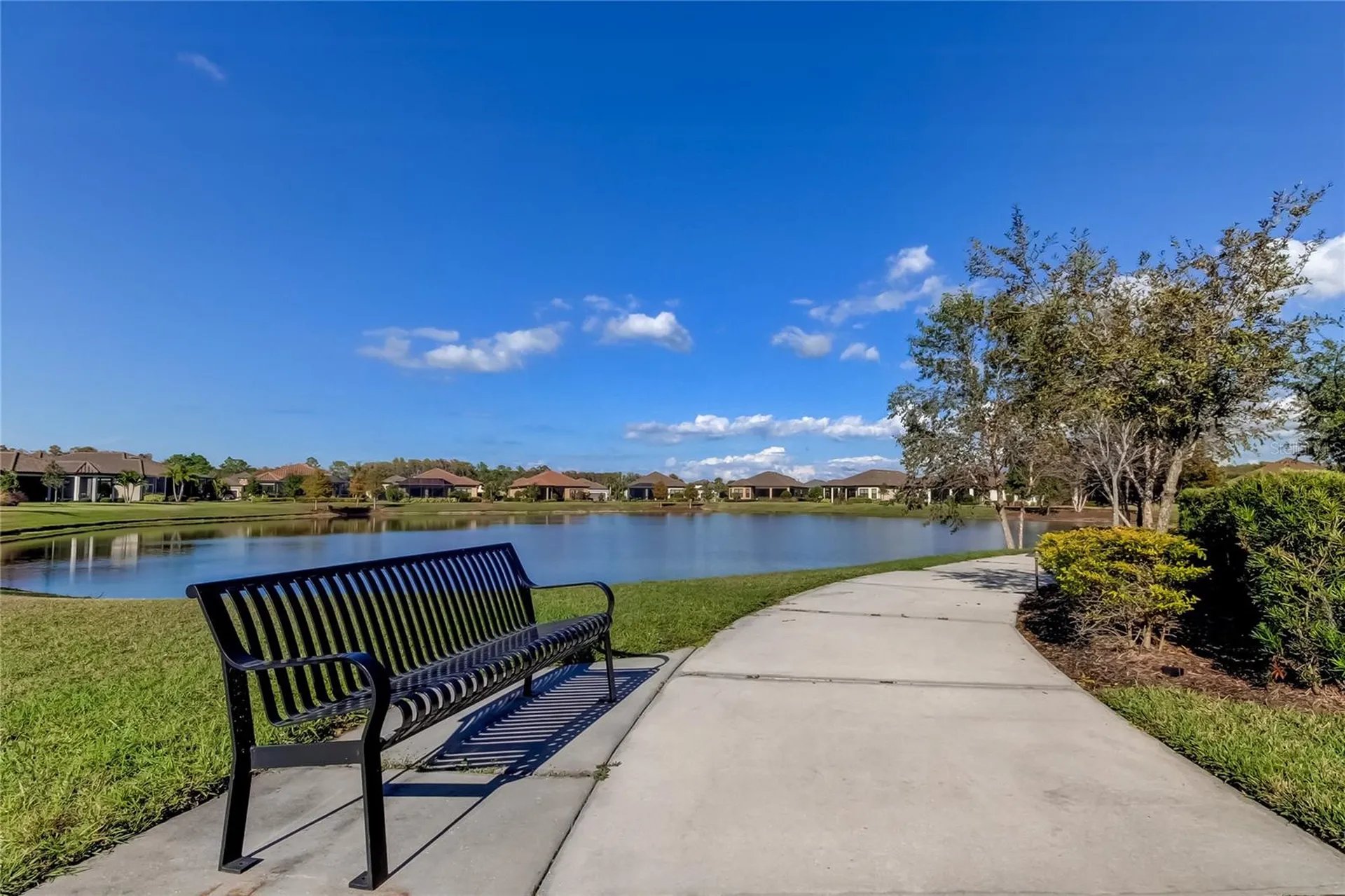 11257 Egeria Drive Odessa FL 33556