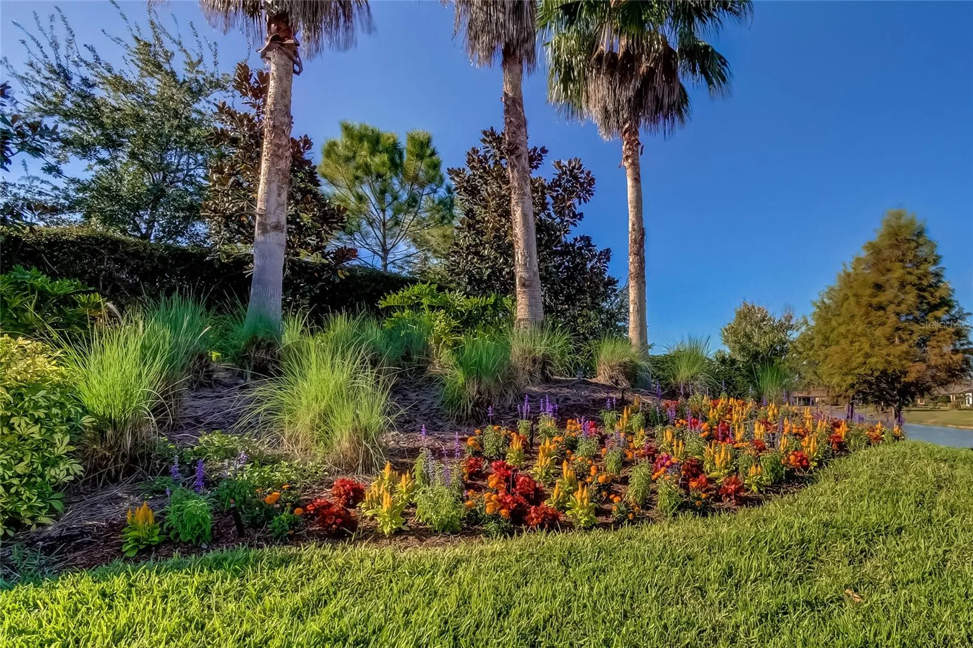 11257 Egeria Drive Odessa FL 33556