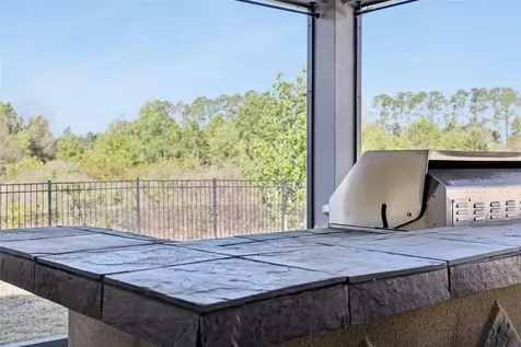 307 Terracotta Terrace Howey In The Hills FL 34737