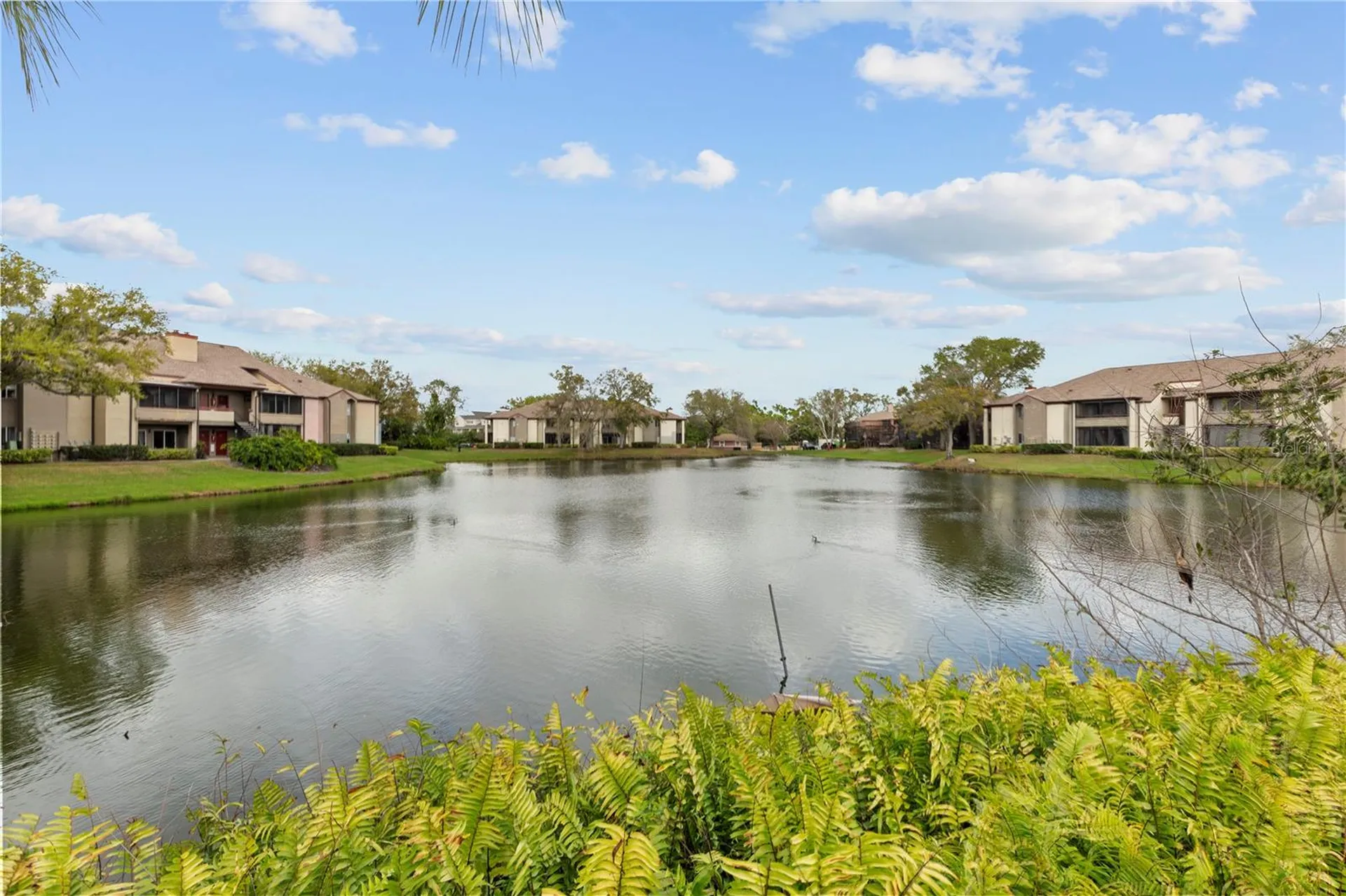 10265 Gandy Boulevard N St Petersburg FL 33702