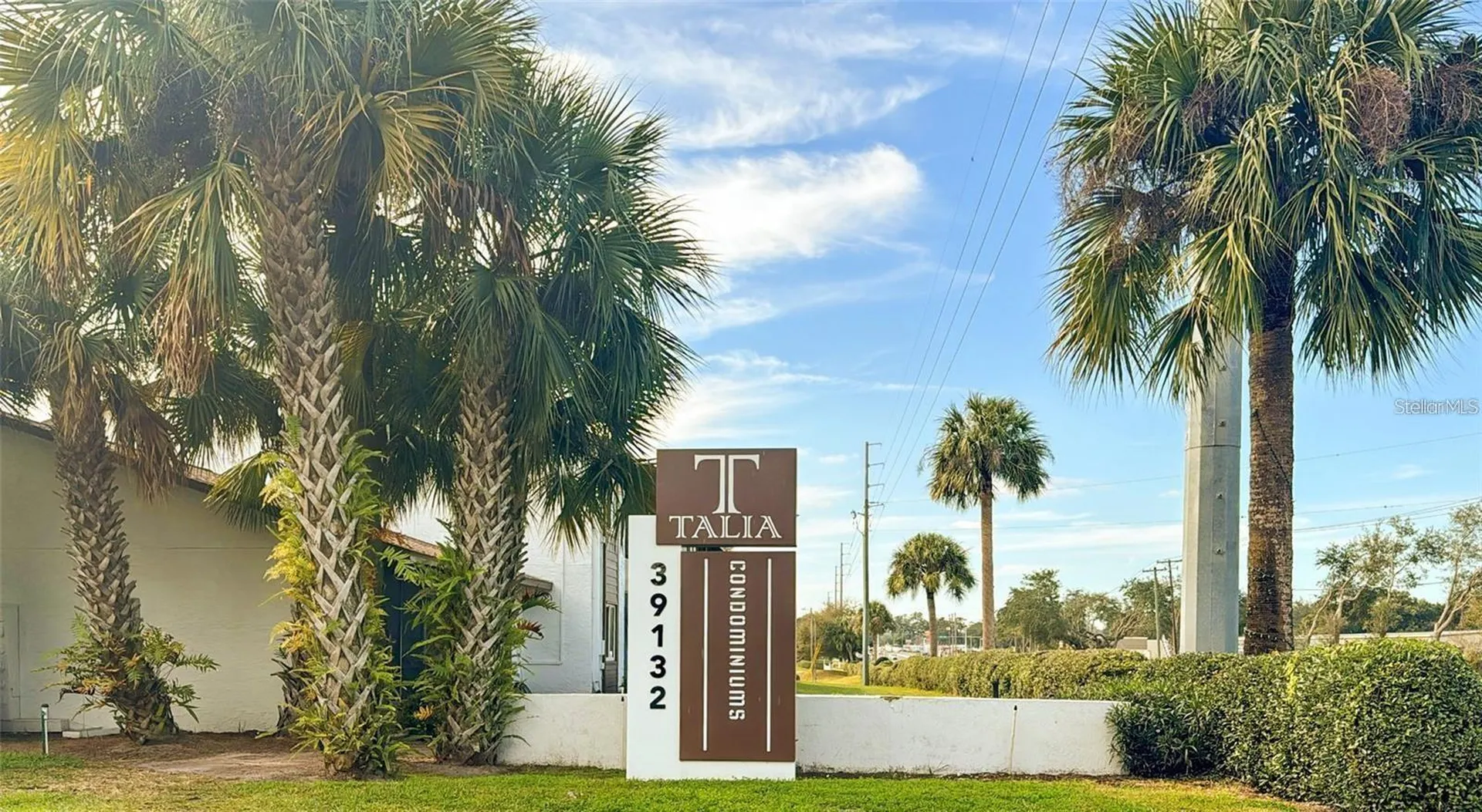39132 County Road 54 Zephyrhills FL 33542