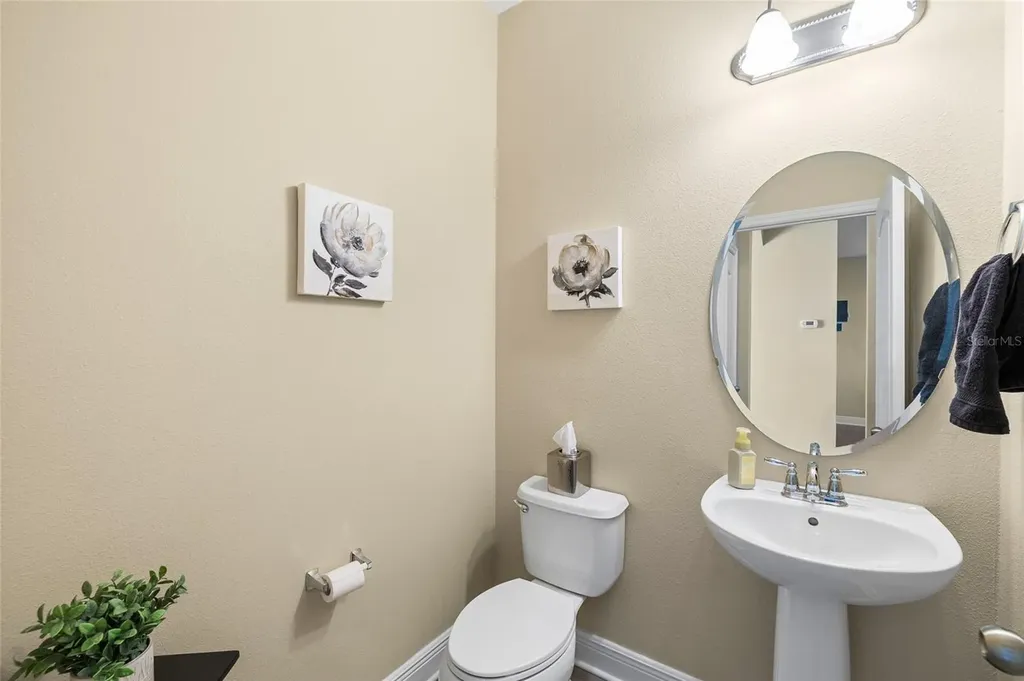 11636 Eccelsia Place Tampa FL 33626