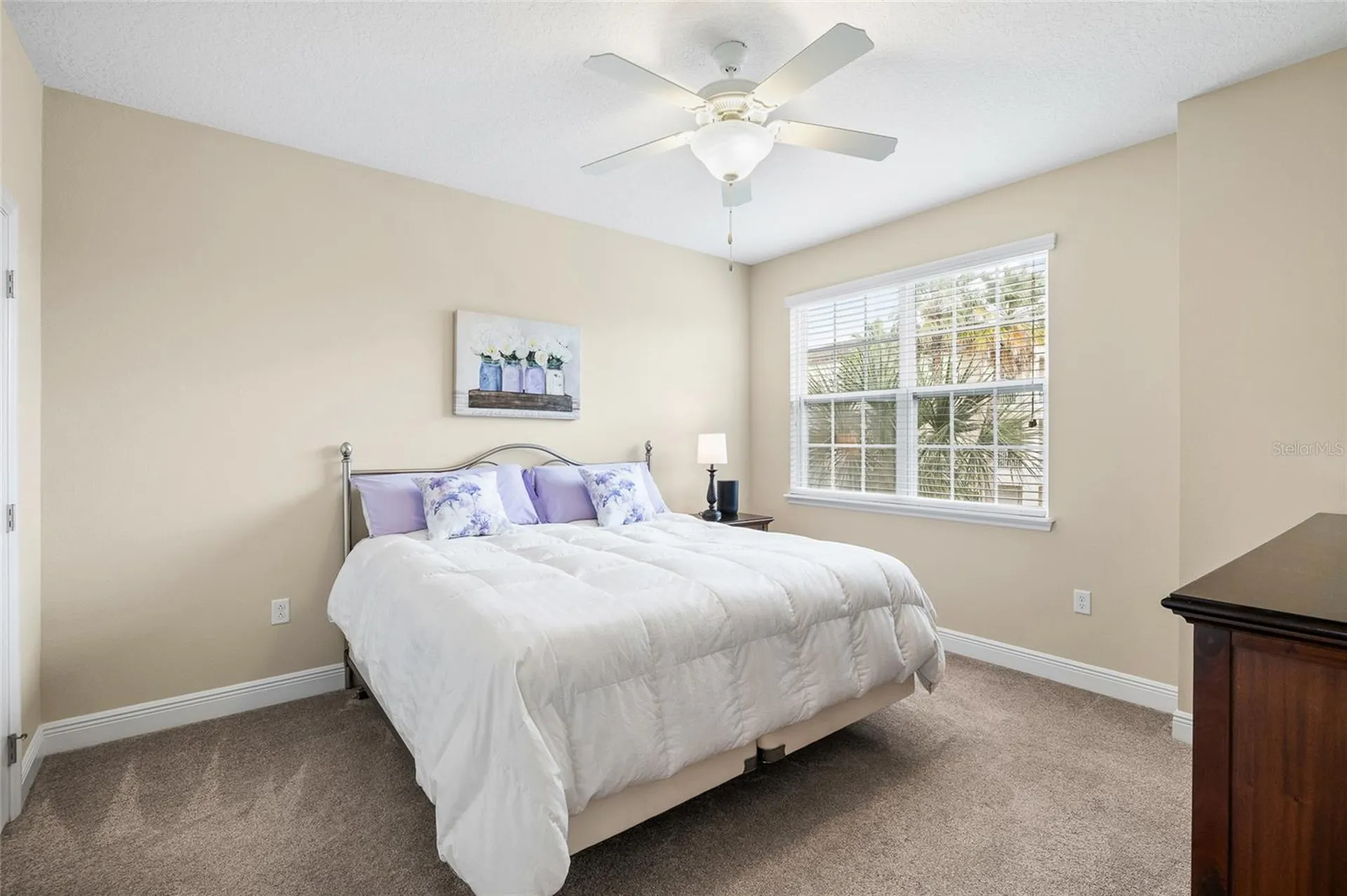 11636 Eccelsia Place Tampa FL 33626
