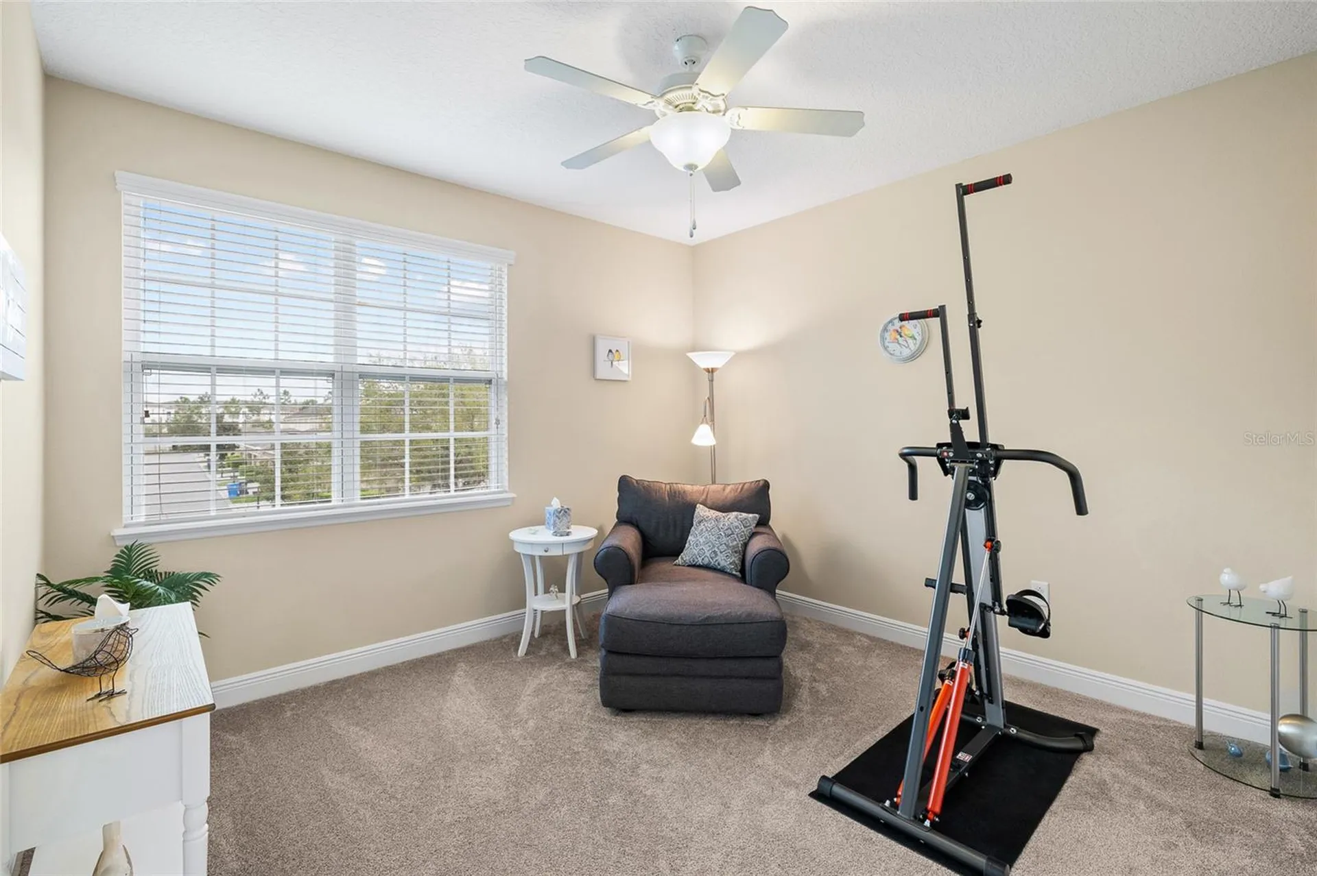 11636 Eccelsia Place Tampa FL 33626