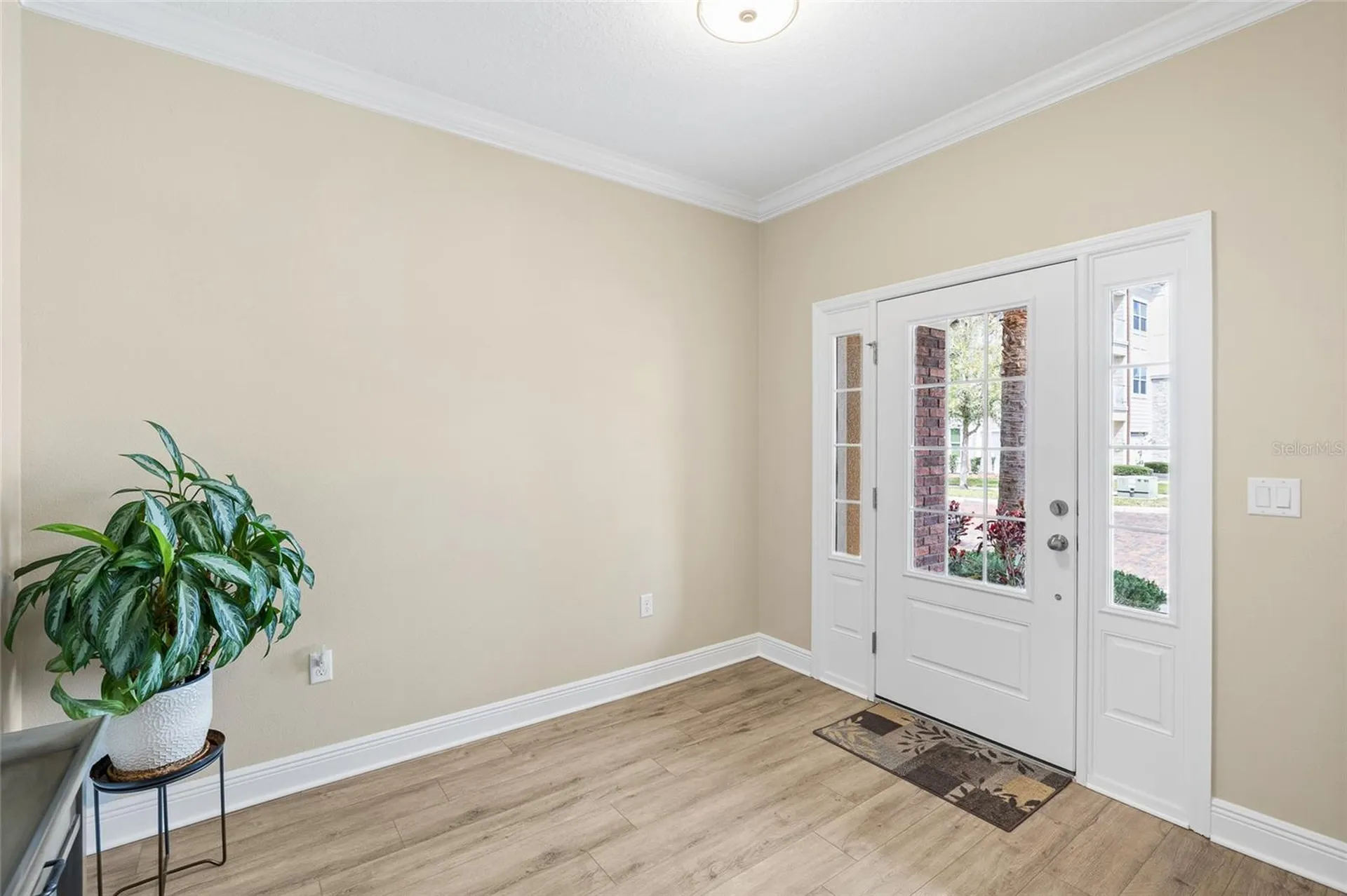 11636 Eccelsia Place Tampa FL 33626