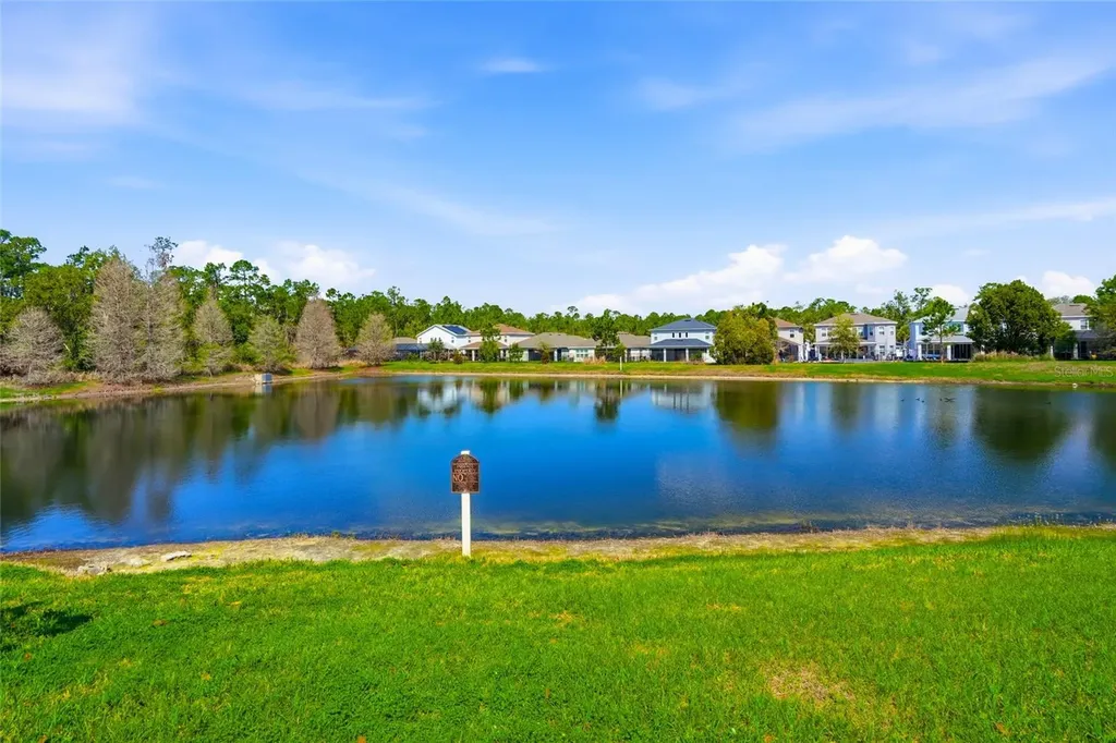 29725 Cedar Waxwing Drive Wesley Chapel FL 33545