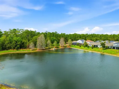 29725 Cedar Waxwing Drive Wesley Chapel FL 33545