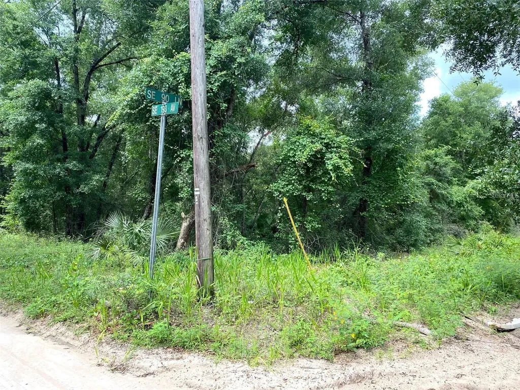 SE 193rd Avenue Ocklawaha FL 32179