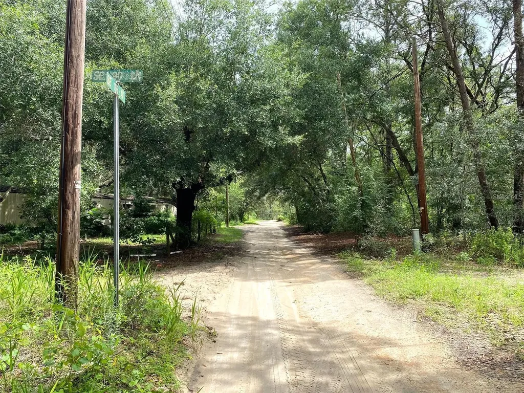 SE 193rd Avenue Ocklawaha FL 32179