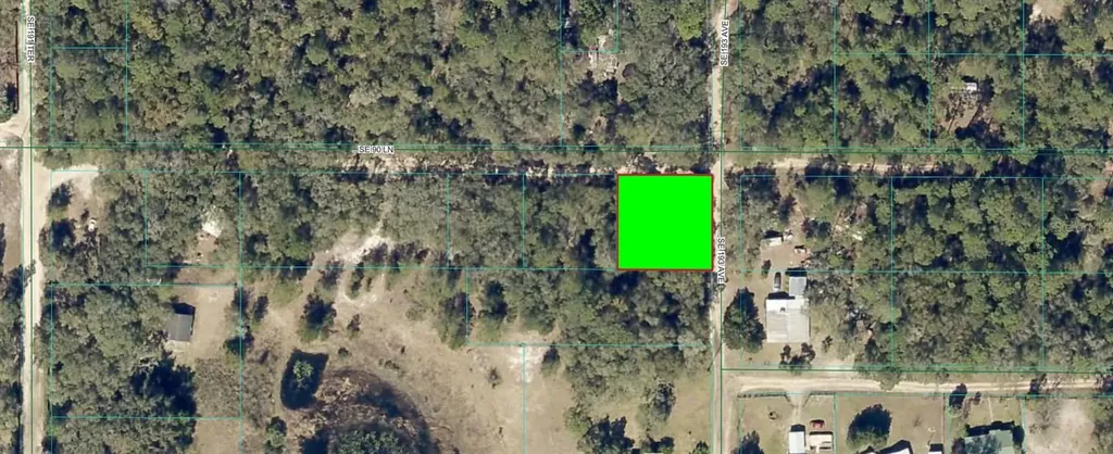 SE 193rd Avenue Ocklawaha FL 32179