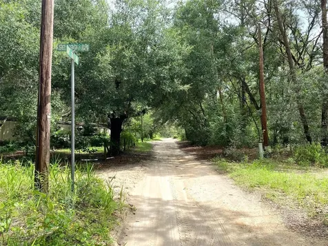 SE 193rd Avenue Ocklawaha FL 32179