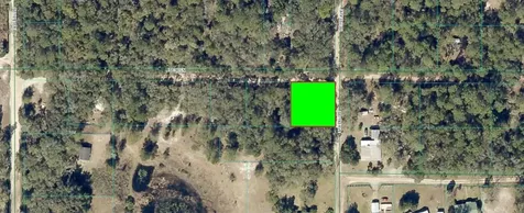 SE 193rd Avenue Ocklawaha FL 32179