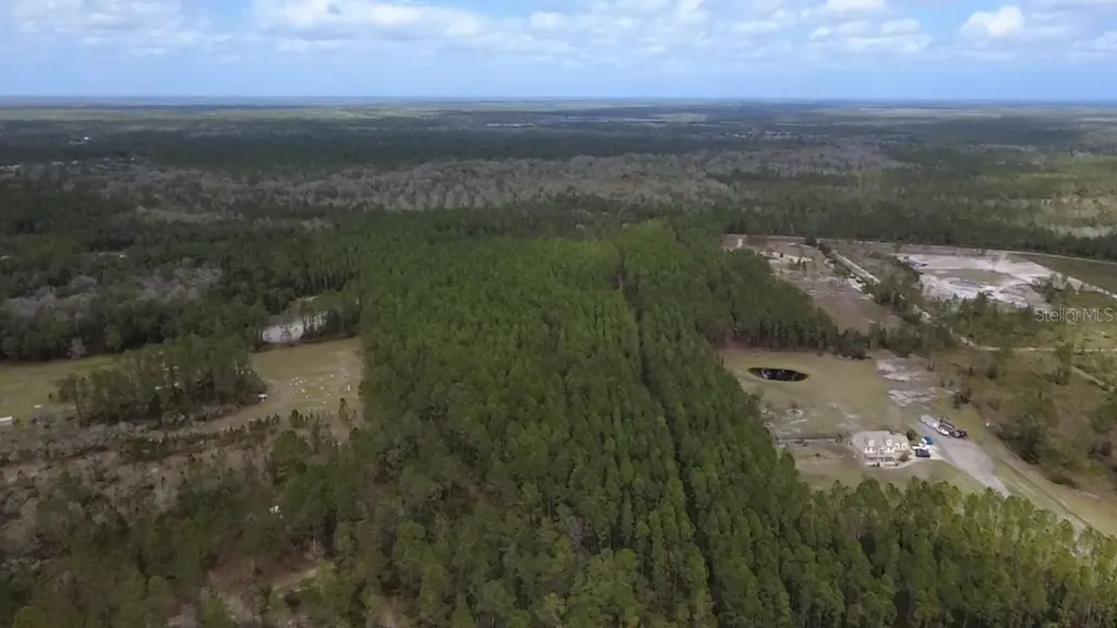 Wild Cur Road Pierson FL 32180