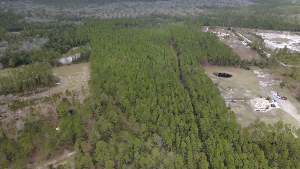 Wild Cur Road Pierson FL 32180