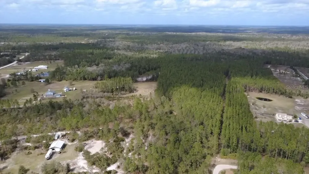 Wild Cur Road Pierson FL 32180