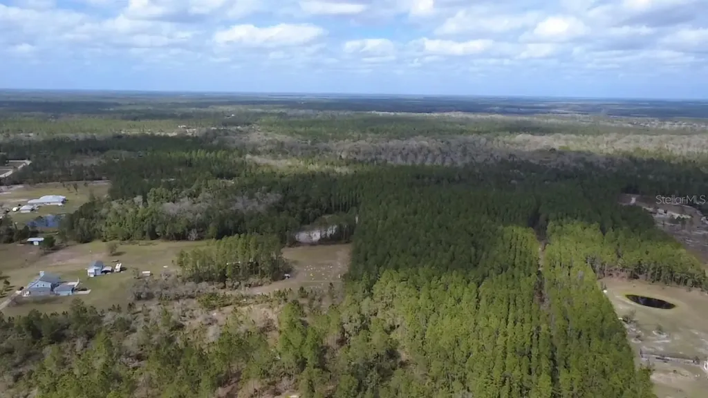 Wild Cur Road Pierson FL 32180