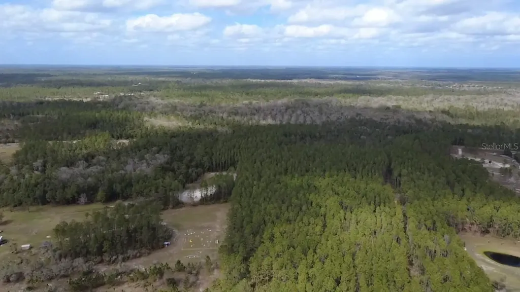 Wild Cur Road Pierson FL 32180