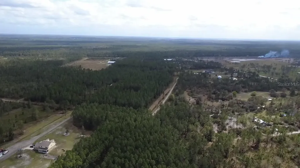 Wild Cur Road Pierson FL 32180