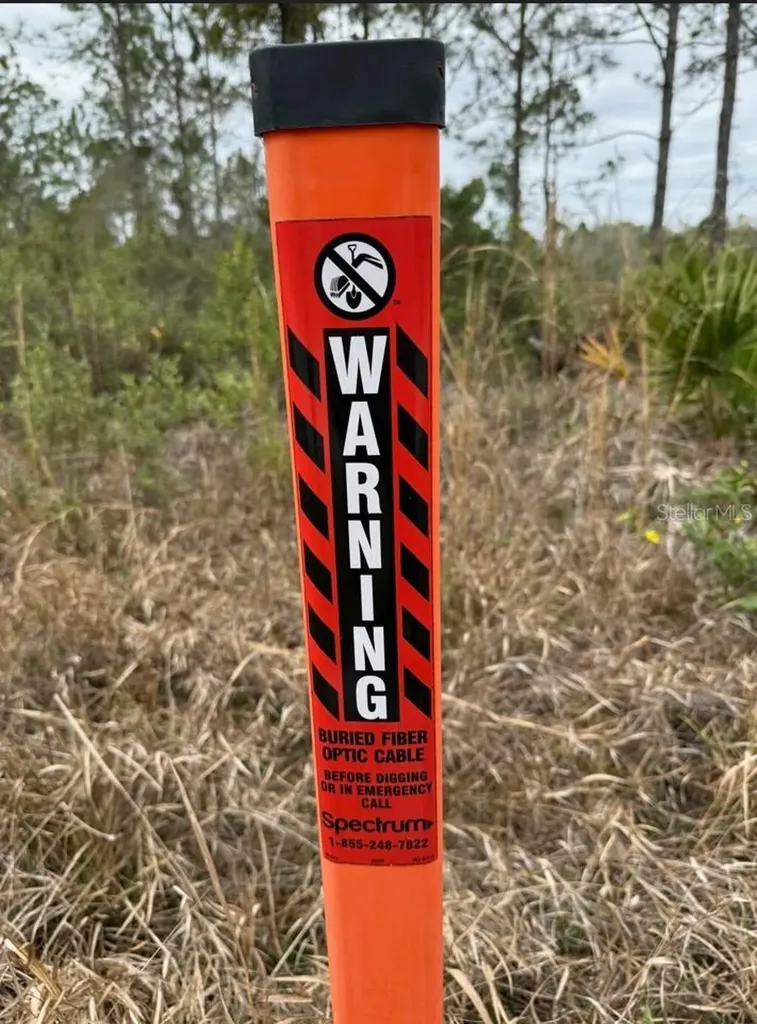 Wild Cur Road Pierson FL 32180