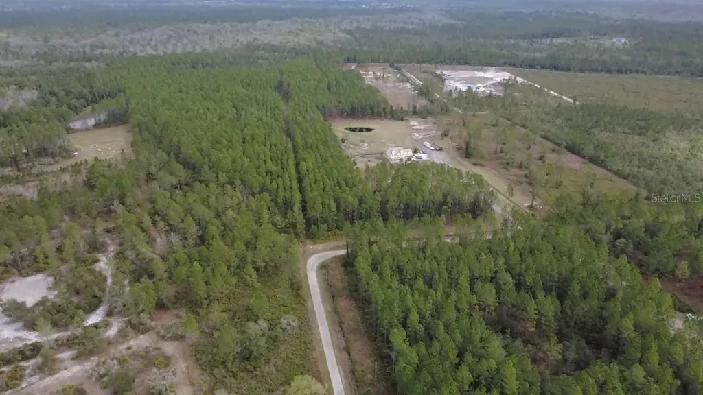 Wild Cur Road Pierson FL 32180