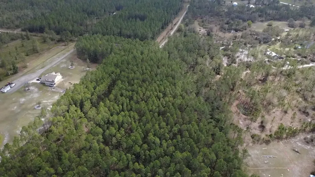 Wild Cur Road Pierson FL 32180