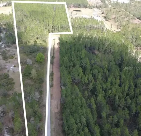 Wild Cur Road Pierson FL 32180