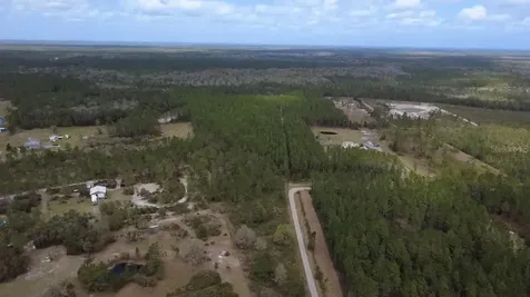 Wild Cur Road Pierson FL 32180