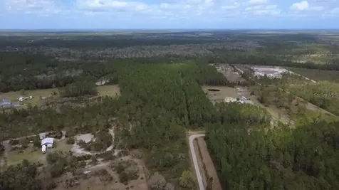 Wild Cur Road Pierson FL 32180