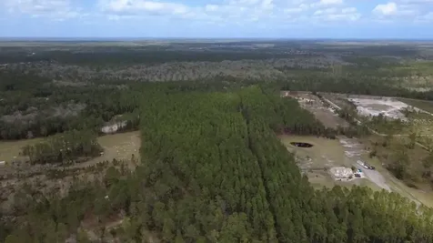 Wild Cur Road Pierson FL 32180