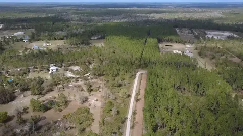 Wild Cur Road Pierson FL 32180