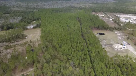 Wild Cur Road Pierson FL 32180