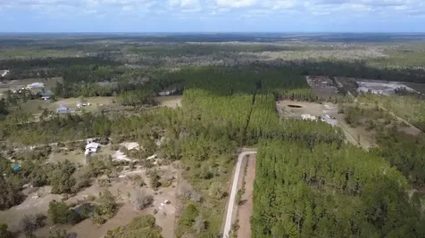 Wild Cur Road Pierson FL 32180