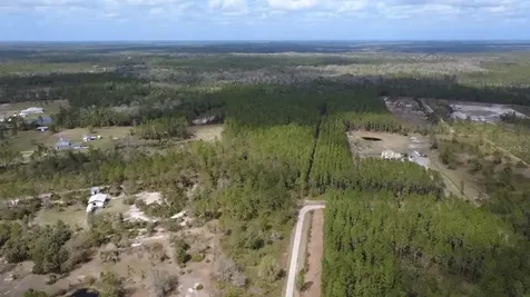 Wild Cur Road Pierson FL 32180
