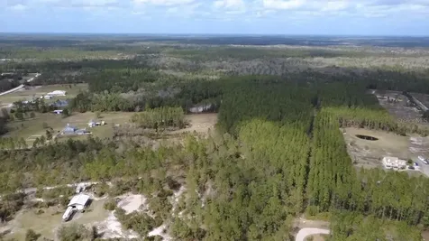 Wild Cur Road Pierson FL 32180