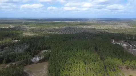 Wild Cur Road Pierson FL 32180
