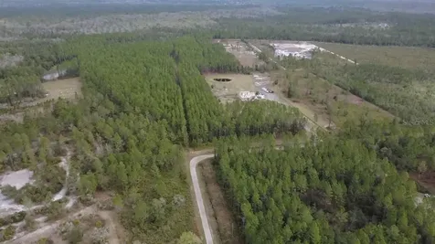 Wild Cur Road Pierson FL 32180