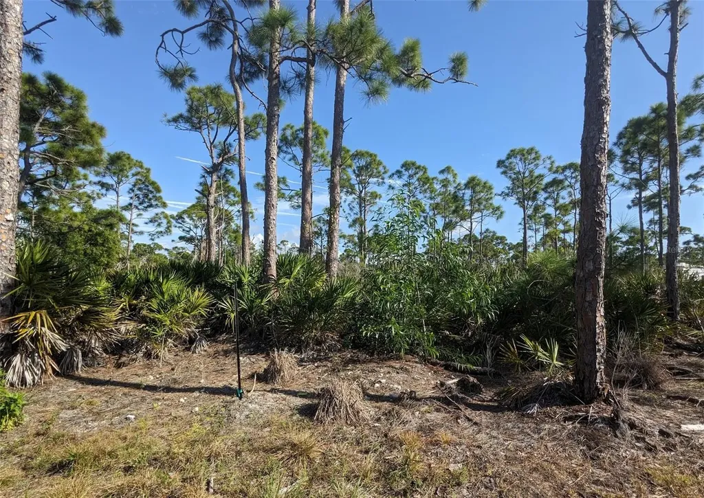 4159 Sunshine Boulevard St James City FL 33956