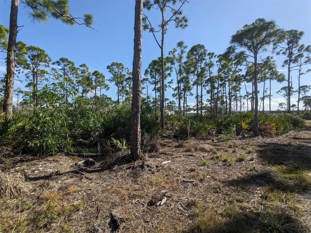 4159 Sunshine Boulevard St James City FL 33956