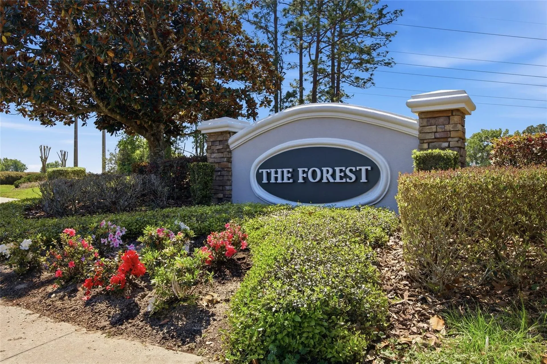 4517 SE 28th Street Ocala FL 34480