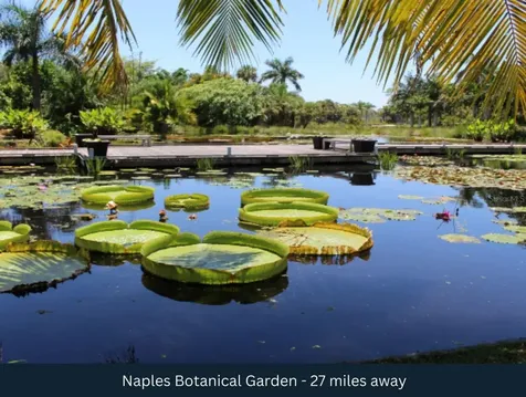 20TH Avenue SE Naples FL 34117