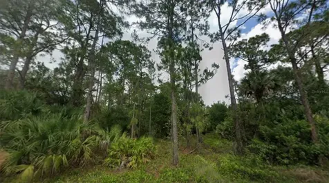 20TH Avenue SE Naples FL 34117