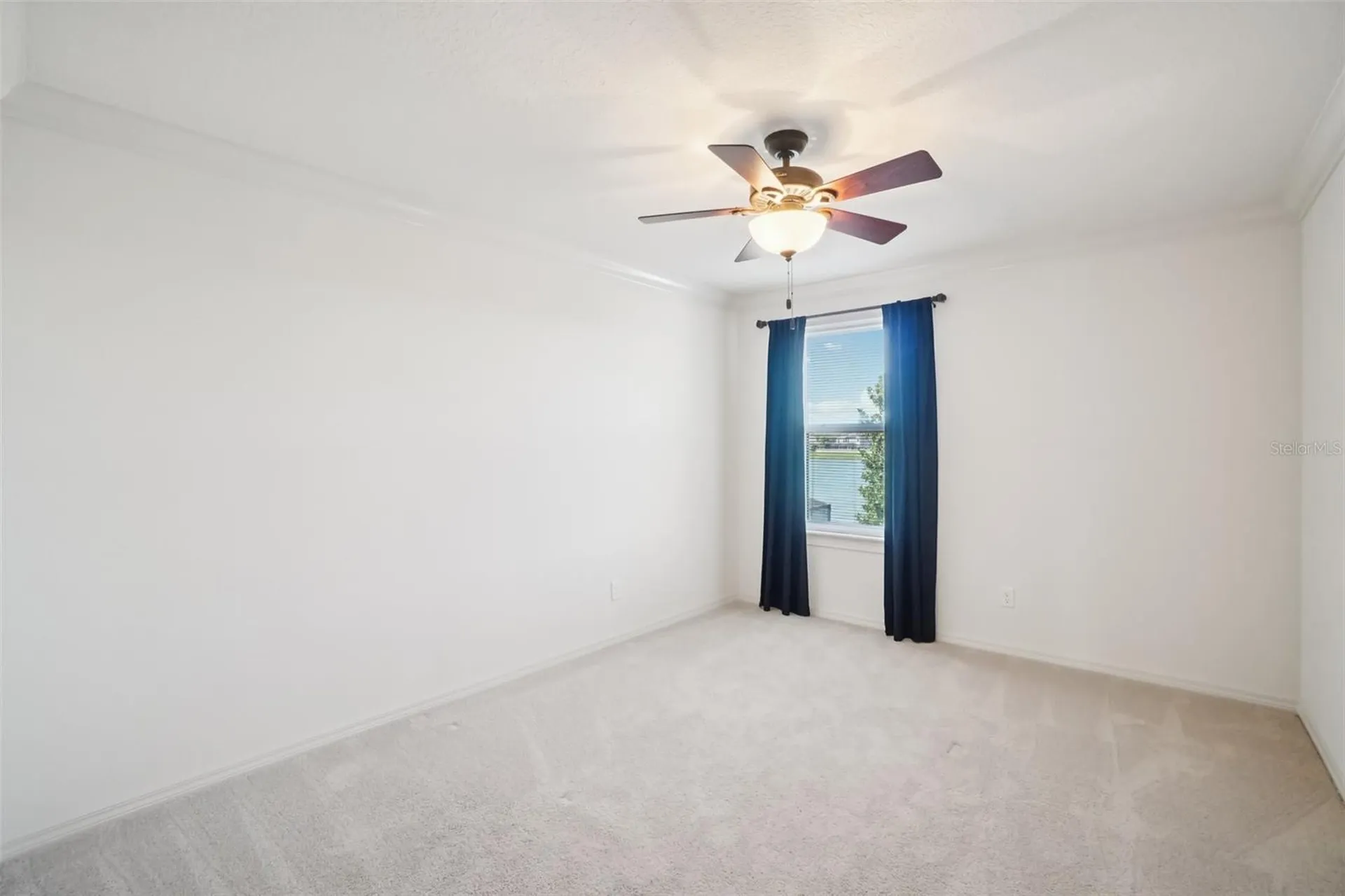 19209 Long Lake Ranch Boulevard Lutz FL 33558