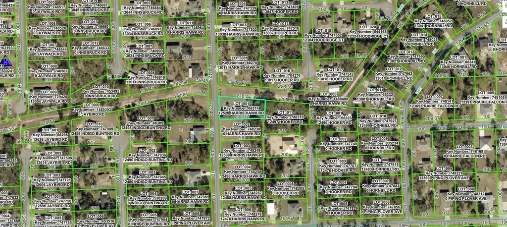 12528 Harris Hawk Road Weeki Wachee FL 34614