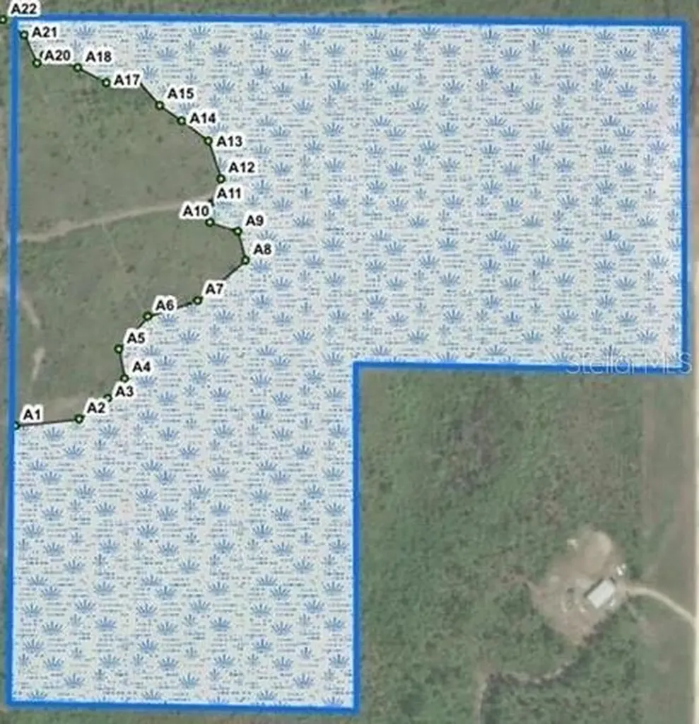 0 NE 125th Avenue Fort Mc Coy FL 32134