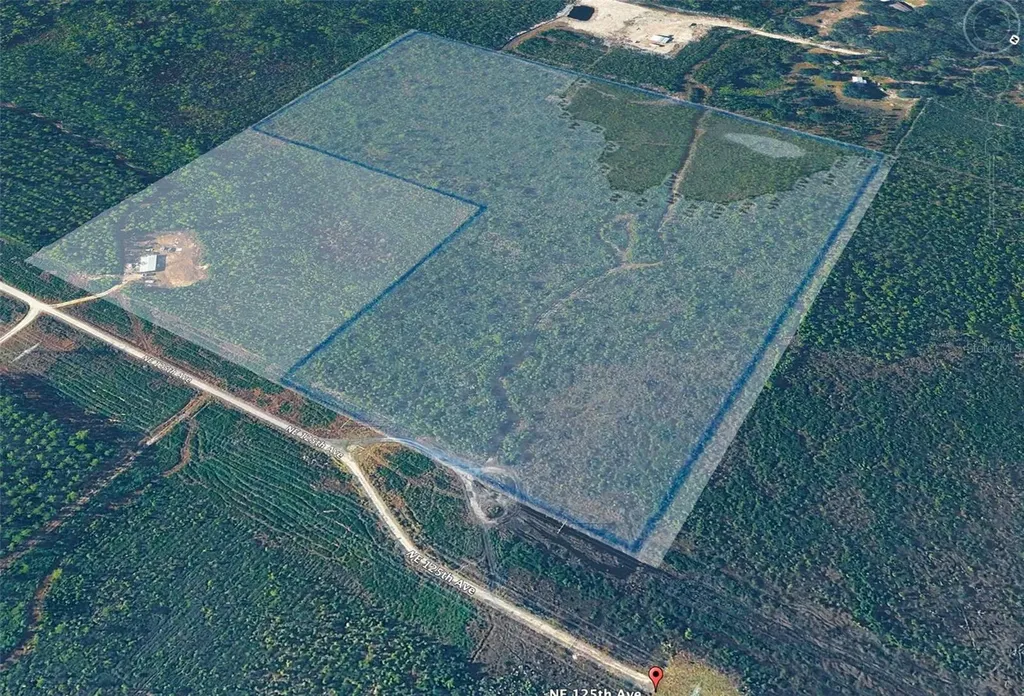 0 NE 125th Avenue Fort Mc Coy FL 32134
