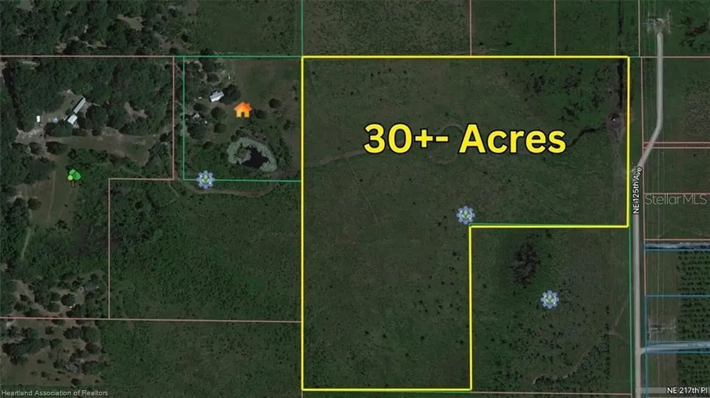 0 NE 125th Avenue Fort Mc Coy FL 32134