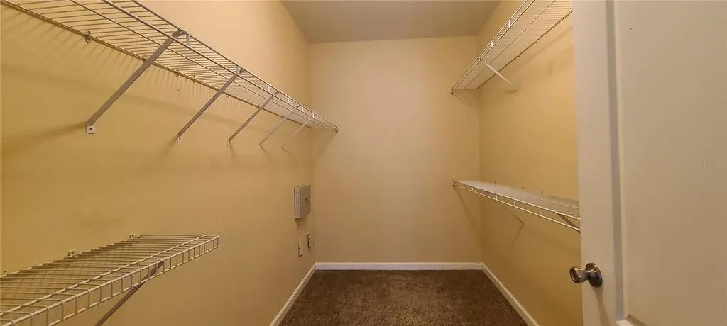 17902 Villa Creek Drive Tampa FL 33647
