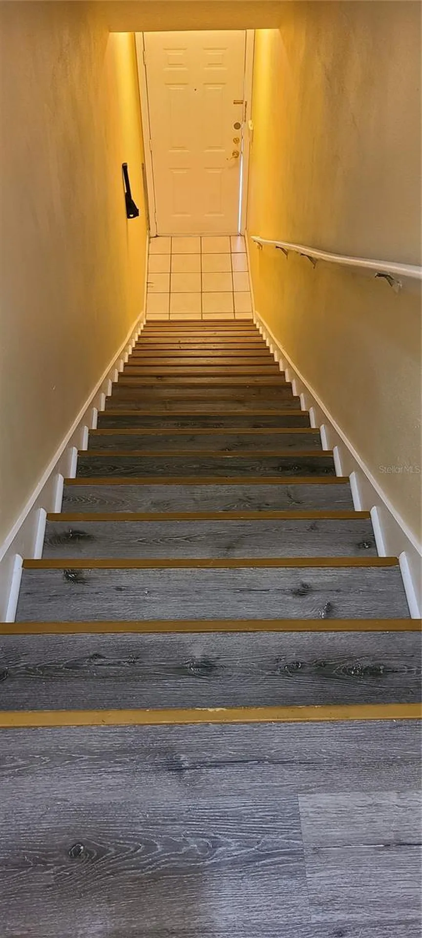 17902 Villa Creek Drive Tampa FL 33647